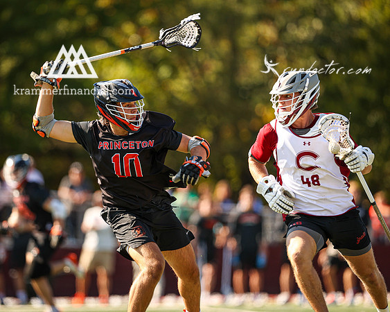 Tigers vs Colgate Fall 2024 - 1188.jpg
