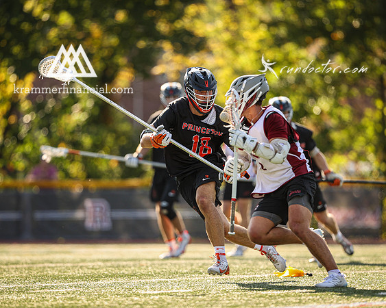 Tigers vs Colgate Fall 2024 - 2393.jpg