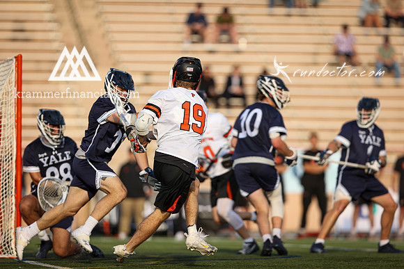 Tigers vs Bulldogs Ivy Tourney 2024 - 2032.jpg