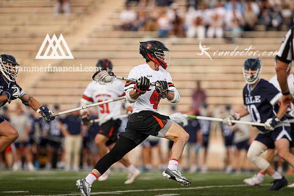 Tigers vs Bulldogs Ivy Tourney 2024 - 1013.jpg