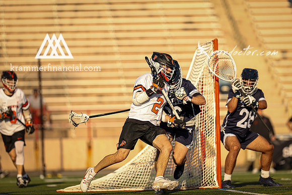 Tigers vs Bulldogs Ivy Tourney 2024 - 2376.jpg