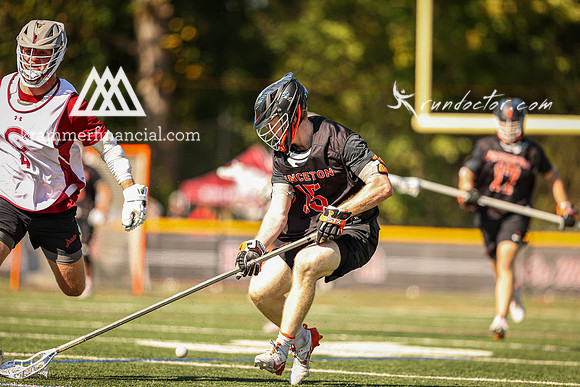 Tigers vs Colgate Fall 2024 - 0699.jpg