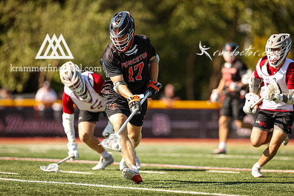 Tigers vs Colgate Fall 2024 - 0423.jpg