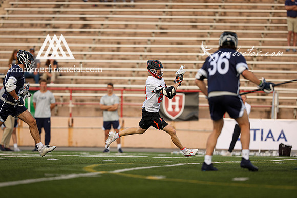 Tigers vs Bulldogs Ivy Tourney 2024 - 0984.jpg