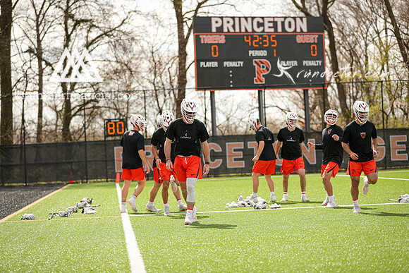 Tigers vs Cuse 2023 - 0617.jpg