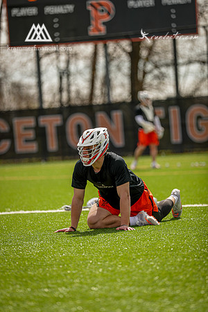 Tigers vs Cuse 2023 - 0575.jpg