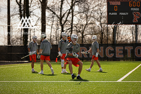 Tigers vs Cuse 2023 - 1669.jpg