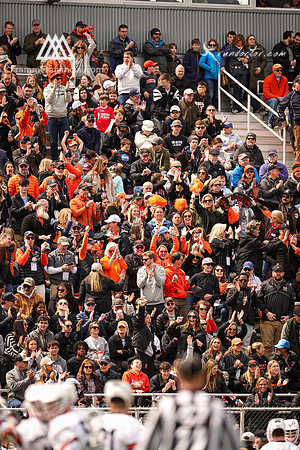 Tigers vs Cuse 2023 - 5925.jpg
