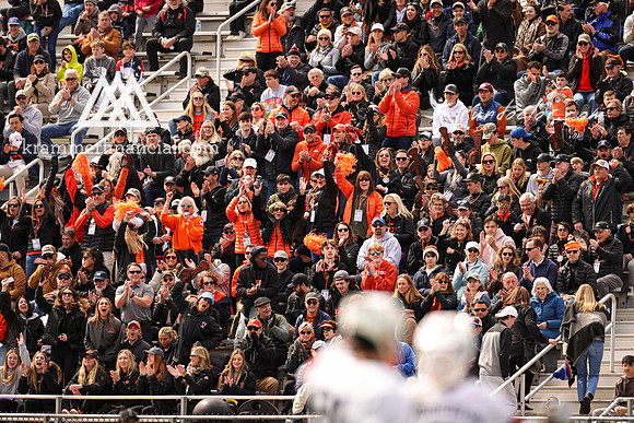 Tigers vs Cuse 2023 - 3015.jpg