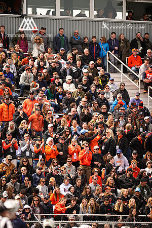 Tigers vs Cuse 2023 - 5268.jpg