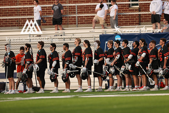 Tigers vs Penn State 2023 - 1724.jpg