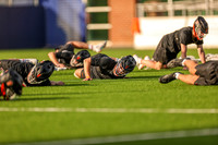 Tigers vs Penn State 2023 - 0575.jpg