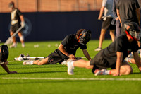 Tigers vs Penn State 2023 - 0511.jpg