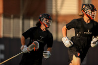 Tigers vs Penn State 2023 - 0395.jpg