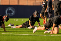 Tigers vs Penn State 2023 - 0514.jpg