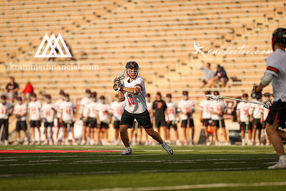 Tigers vs Bulldogs Ivy Tourney 2024 - 1334.jpg