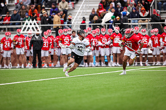 Tigers vs Terps 2023 - 3953.jpg