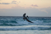 Cancun Christmas 2017 - 1865.jpg
