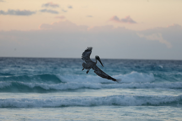Cancun Christmas 2017 - 1865.jpg