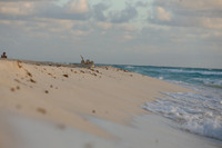 Cancun Christmas 2017 - 0150.jpg