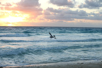 Cancun Christmas 2017 - 1855.jpg