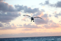 Cancun Christmas 2017 - 1846.jpg