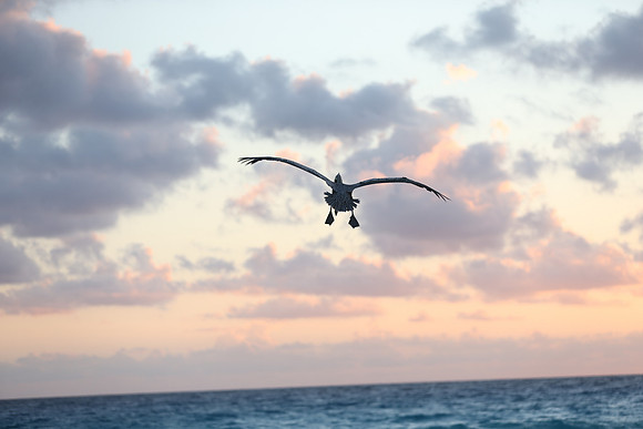 Cancun Christmas 2017 - 1846.jpg