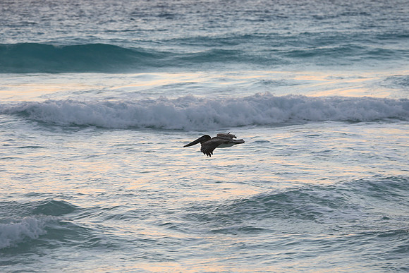 Cancun Christmas 2017 - 1165.jpg
