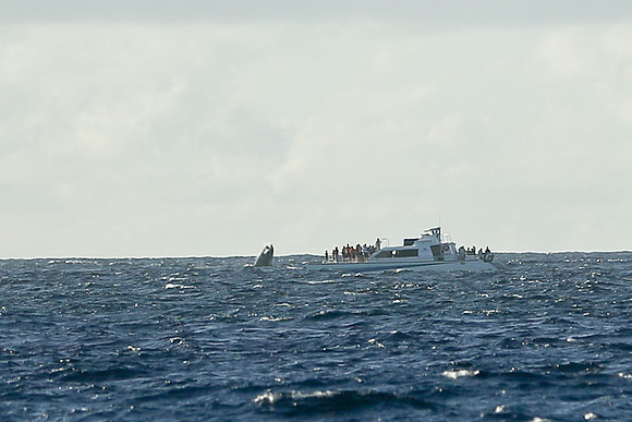 Kauai 2019 - 114.jpg