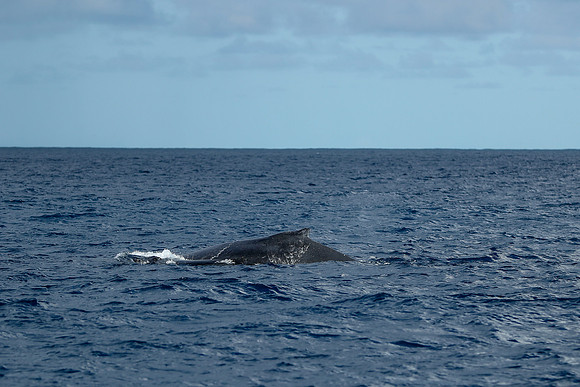Kauai 2019 - 099.jpg