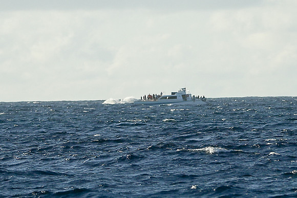 Kauai 2019 - 116.jpg