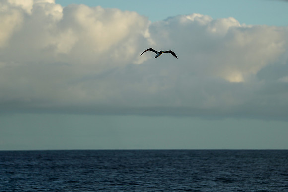 Kauai 2019 - 126.jpg