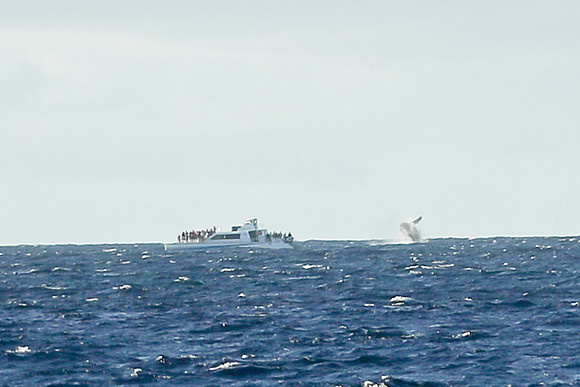 Kauai 2019 - 119.jpg