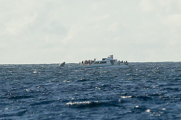 Kauai 2019 - 115.jpg