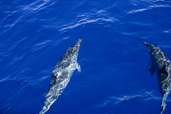 Kauai 2019 - 042.jpg
