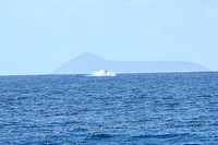 Kauai 2019 - 029.jpg