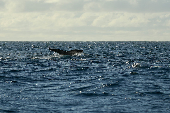 Kauai 2019 - 107.jpg
