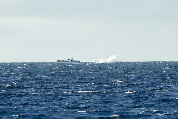 Kauai 2019 - 120.jpg