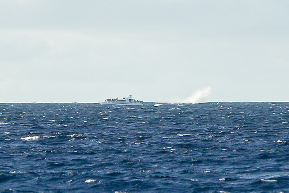 Kauai 2019 - 121.jpg