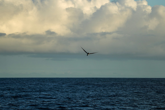 Kauai 2019 - 122.jpg
