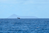 Kauai 2019 - 022.jpg