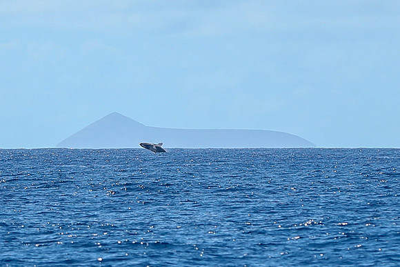 Kauai 2019 - 022.jpg