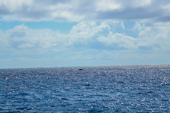 Kauai 2019 - 076.jpg