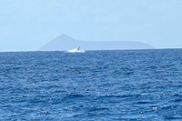 Kauai 2019 - 028.jpg