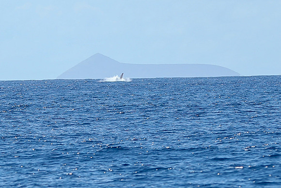 Kauai 2019 - 028.jpg