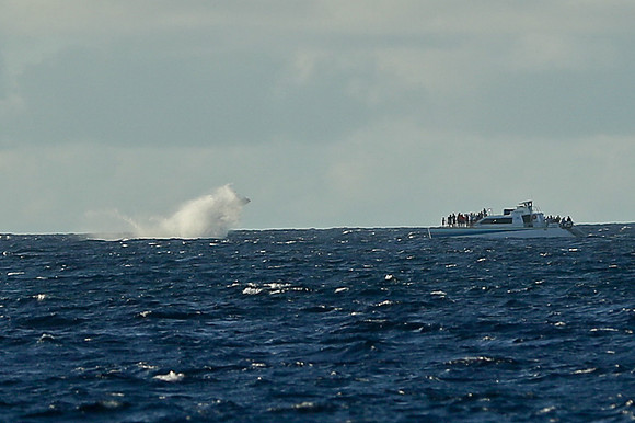 Kauai 2019 - 117.jpg