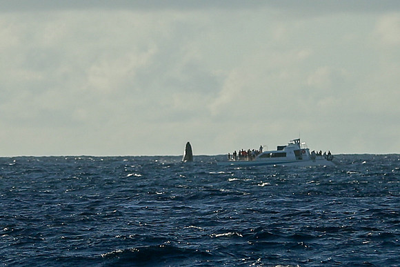 Kauai 2019 - 112.jpg