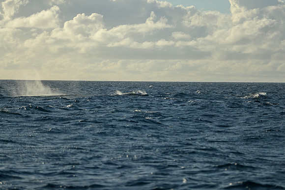 Kauai 2019 - 106.jpg