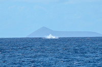 Kauai 2019 - 032.jpg