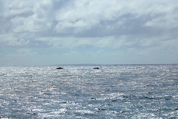 Kauai 2019 - 080.jpg